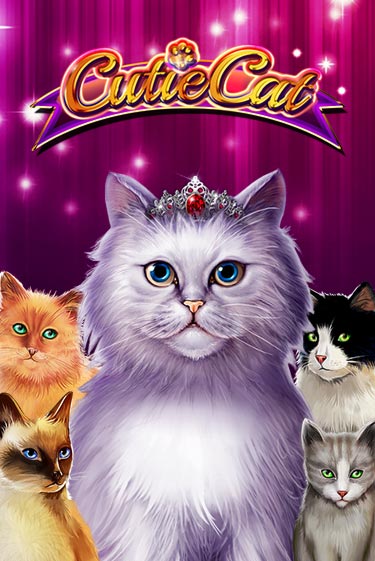 Cutie Cat бесплатная демо игра онлайн казино | Покер Дом